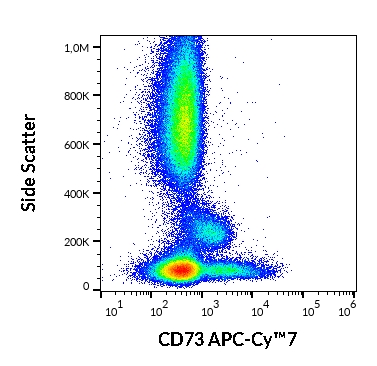 Anti-Hu CD73 APC-Cy™7