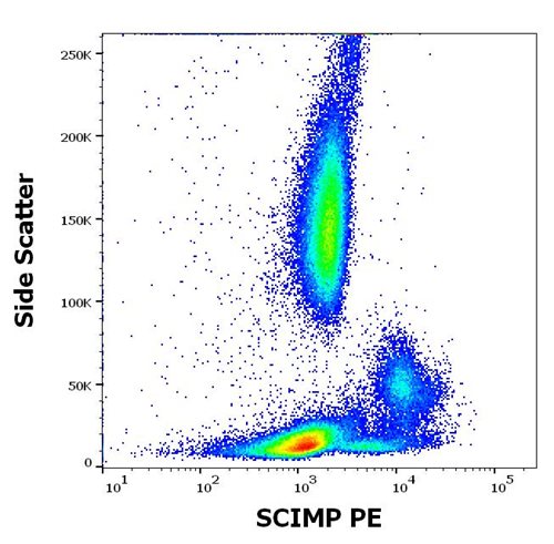 Anti-SCIMP PE