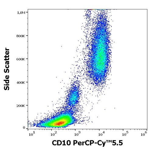 Anti-Hu CD10 PerCP-Cy™5.5