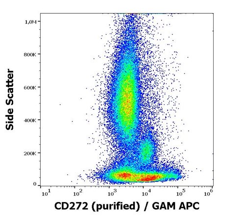 Anti-Hu CD272 Purified