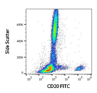 Anti-Hu CD20 FITC