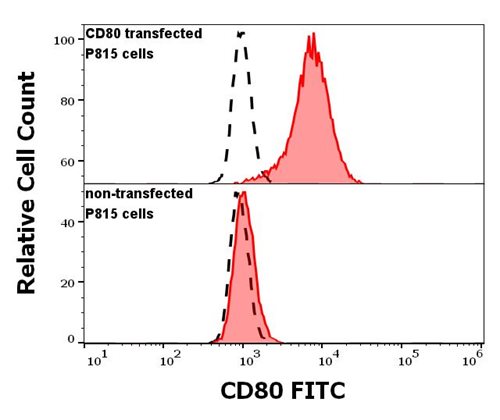 Anti-Hu CD80 FITC