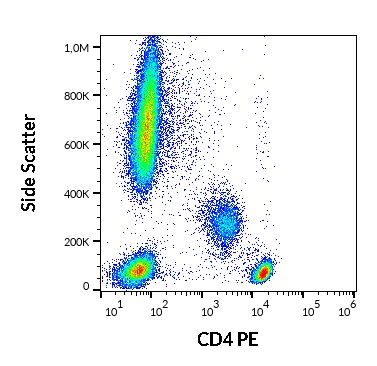 Anti-Hu CD4 PE