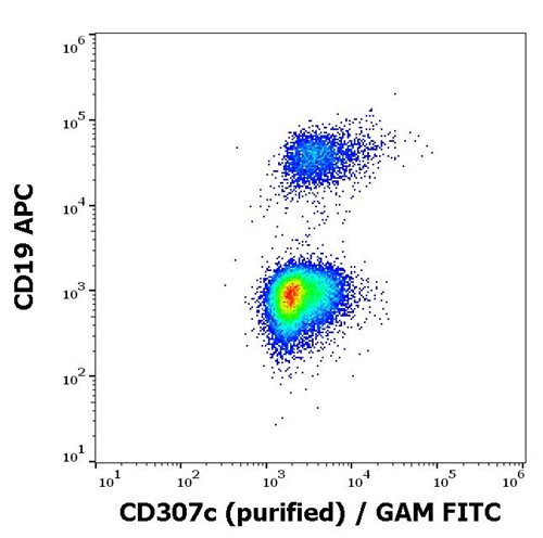 Anti-Hu CD307c Purified