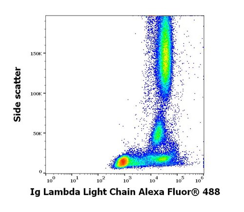 Anti-Hu Ig Lambda Light Chain Alexa Fluor<sup>®</sup> 488