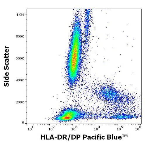 Anti-HLA-DR/DP Pacific Blue™