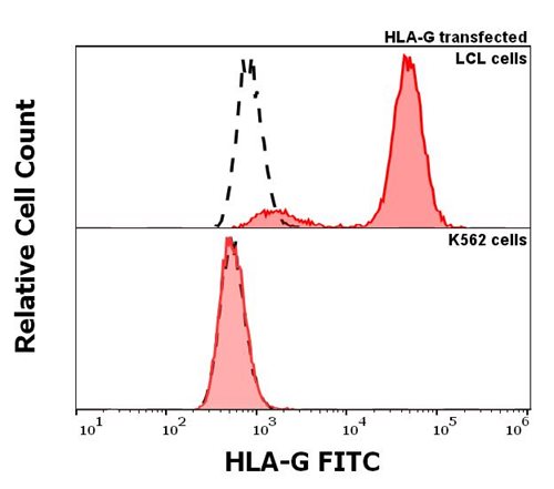 Anti-HLA-G FITC