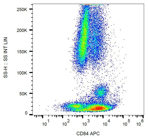 Anti-Hu CD84 APC