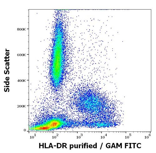 Anti-HLA-DR Purified