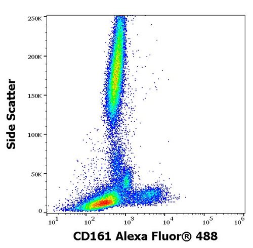 Anti-Hu CD161 Alexa Fluor<sup>®</sup> 488