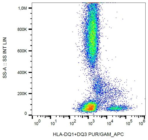 Anti-HLA-DQ1/DQ3 Purified