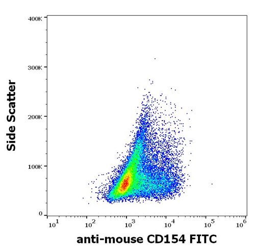 Anti-Ms CD154 FITC