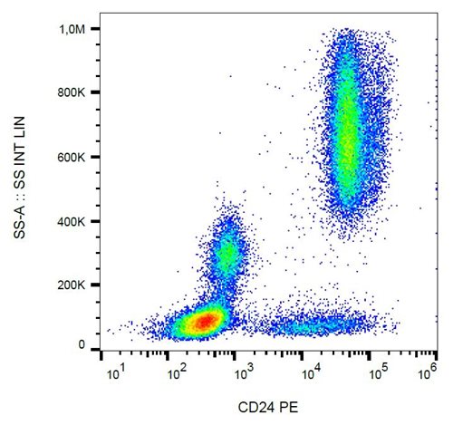 Anti-Hu CD24 PE