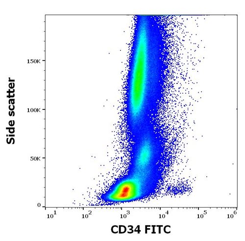 Anti-Hu CD34 FITC