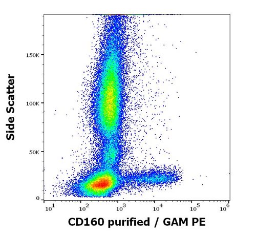 Anti-Hu CD160 Purified