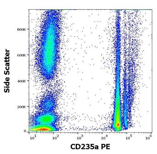 Anti-Hu CD235a PE