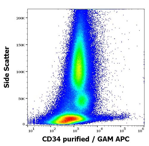 Anti-Hu CD34 Purified Azide Free