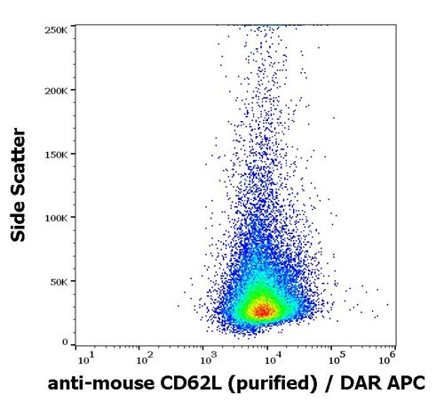 Anti-Ms CD62L Purified Low Endotoxin