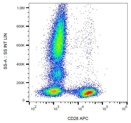 Anti-Hu CD28 APC