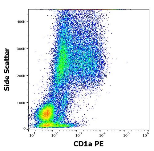 Anti-Hu CD1a PE