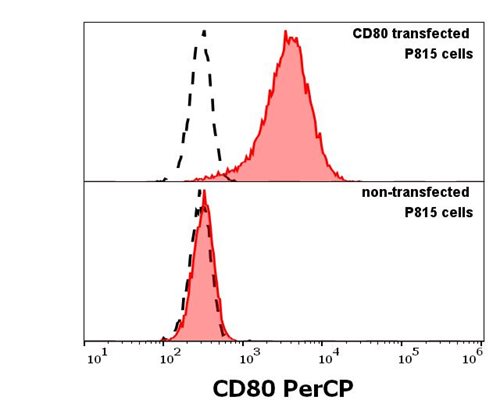Anti-Hu CD80 PerCP