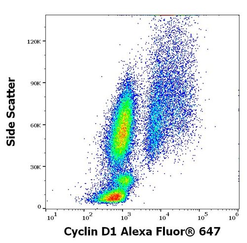 Anti-Cyclin D1 Alexa Fluor<sup>®</sup> 647