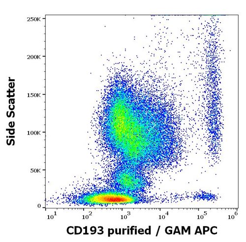 Anti-Hu CD193 Purified