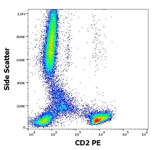 Anti-Hu CD2 PE