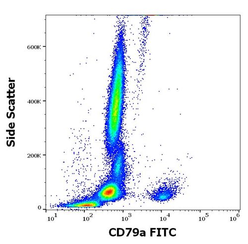 Anti-Hu CD79a FITC