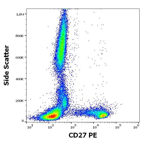Anti-Hu CD27 PE