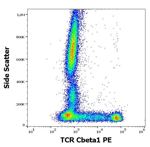 Anti-Hu TCR Cbeta1 PE