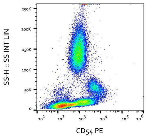 Anti-Hu CD54 PE