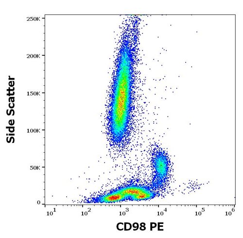 Anti-Hu CD98 PE