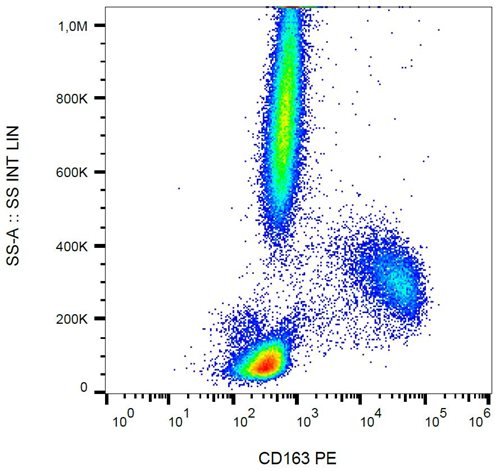 Anti-Hu CD163 PE