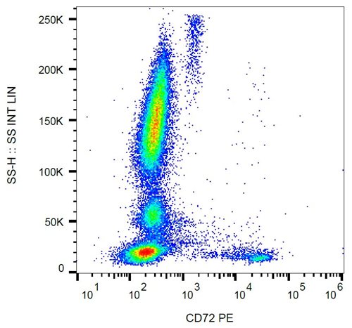 Anti-Hu CD72 PE