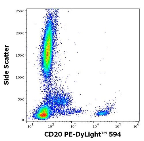 Anti-Hu CD20 PE-DyLight™ 594