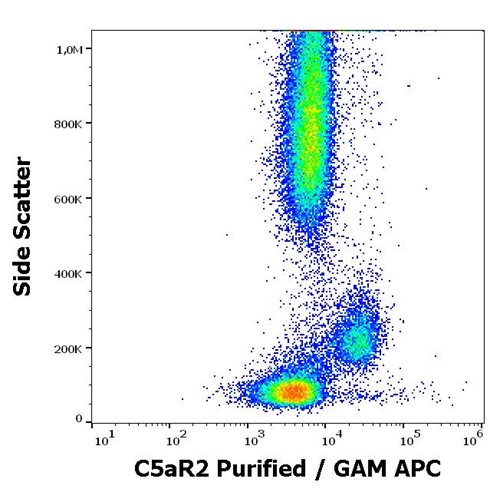 Anti-Hu C5aR2 Purified