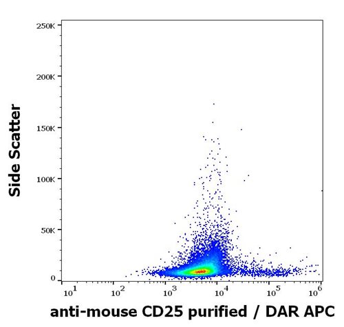 Anti-Ms CD25 Purified