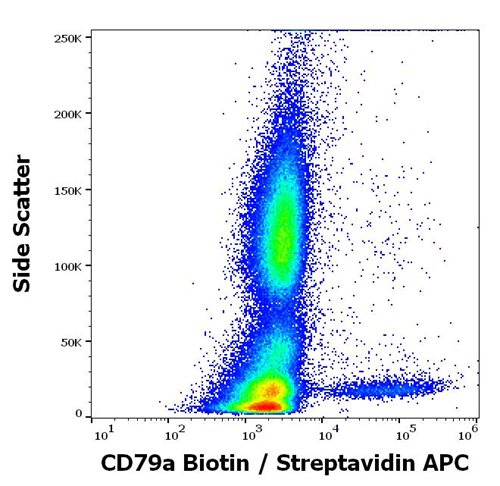 Anti-Hu CD79a Biotin