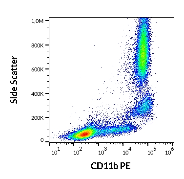 Anti-Hu CD11b PE