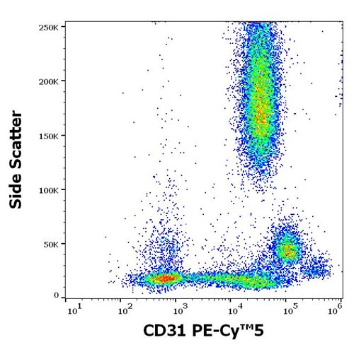 Anti-Hu CD31 PE-Cy™5