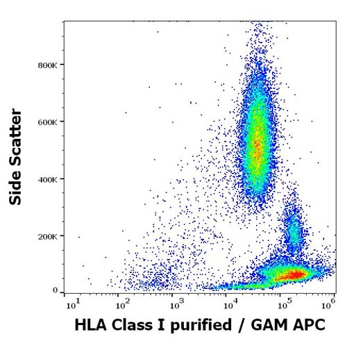 Anti-HLA Class I Purified