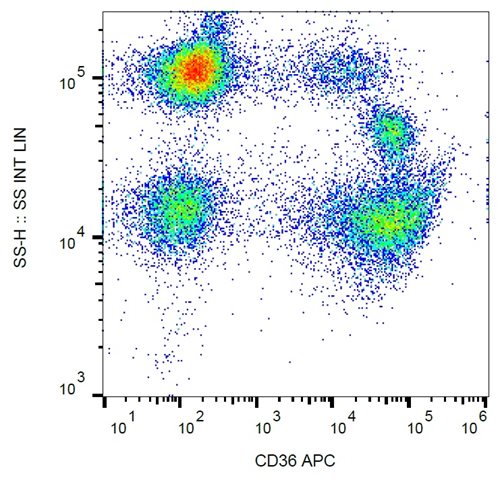 Anti-Hu CD36 APC