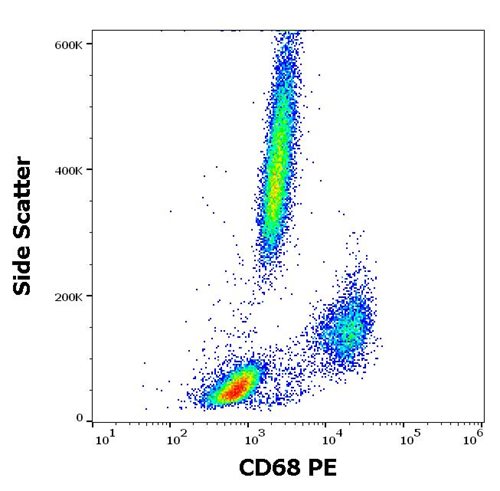 Anti-Hu CD68 PE