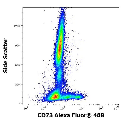 Anti-Hu CD73 Alexa Fluor<sup>®</sup> 488