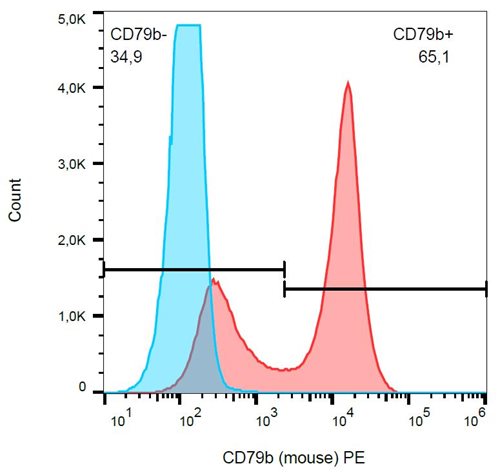 Anti-Ms CD79b PE