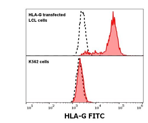 Anti-HLA-G FITC