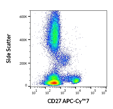 Anti-Hu CD27 APC-Cy™7