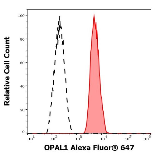 Anti-OPAL1 Alexa Fluor<sup>®</sup> 647