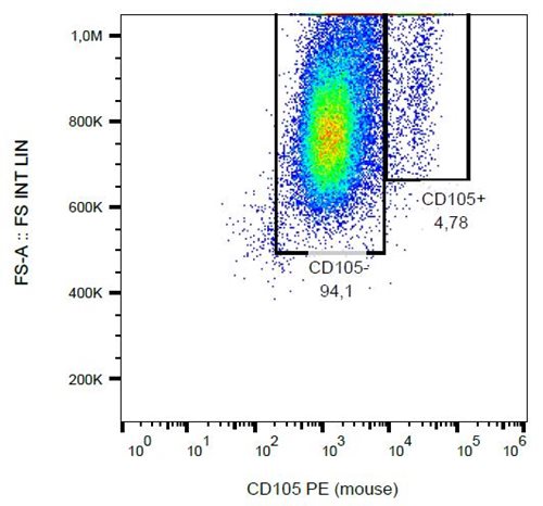 Anti-Ms CD105 PE